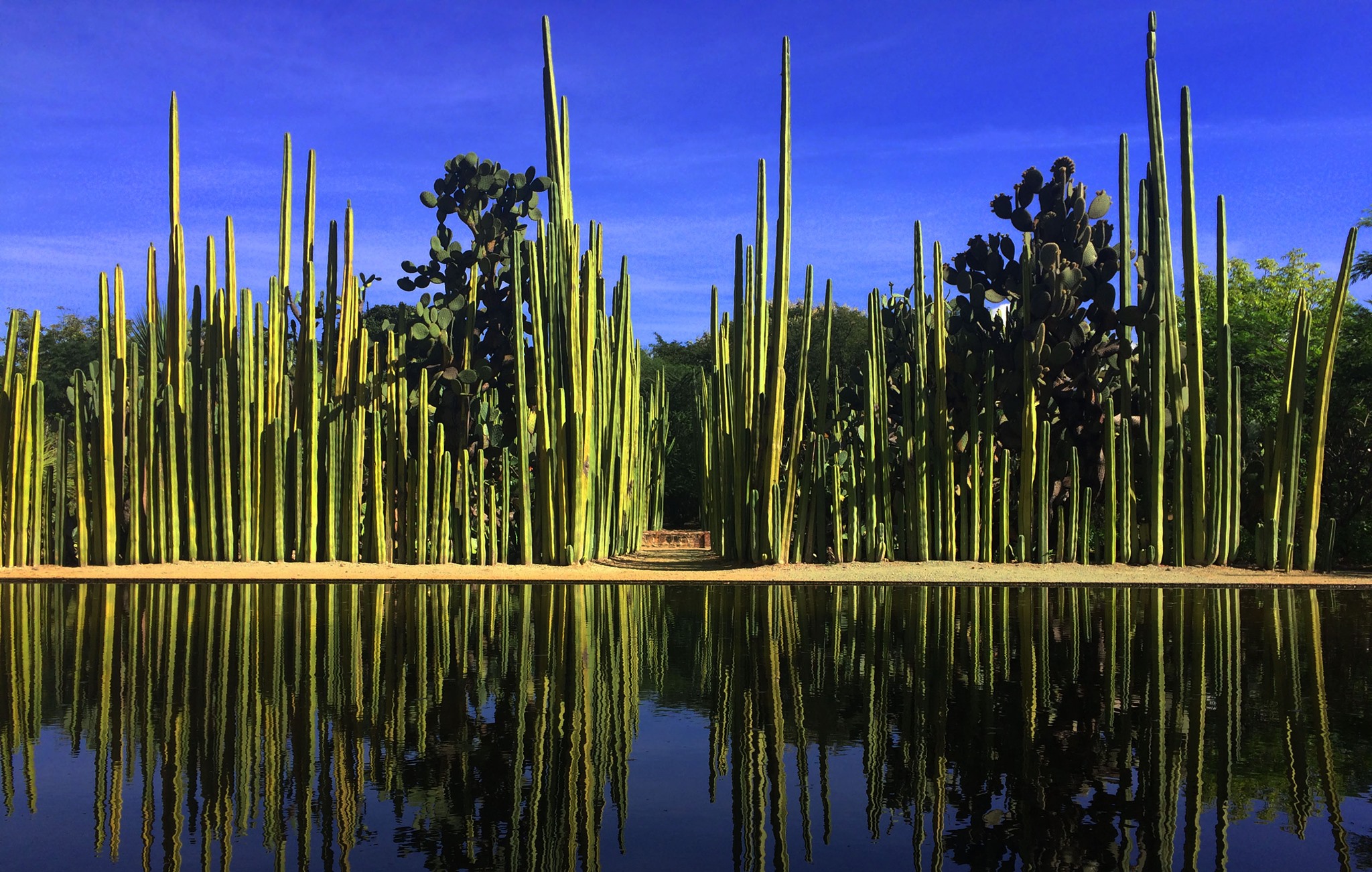 Jardín Etnobotánico